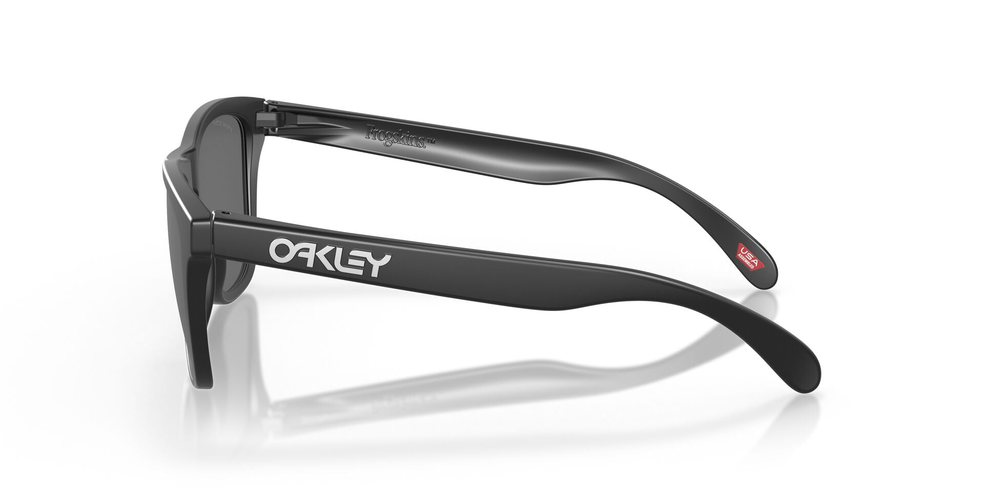 Frogskins Matte Black Lentes Prizm Black Polarized